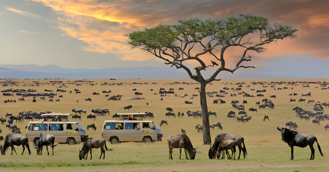 Amboseli