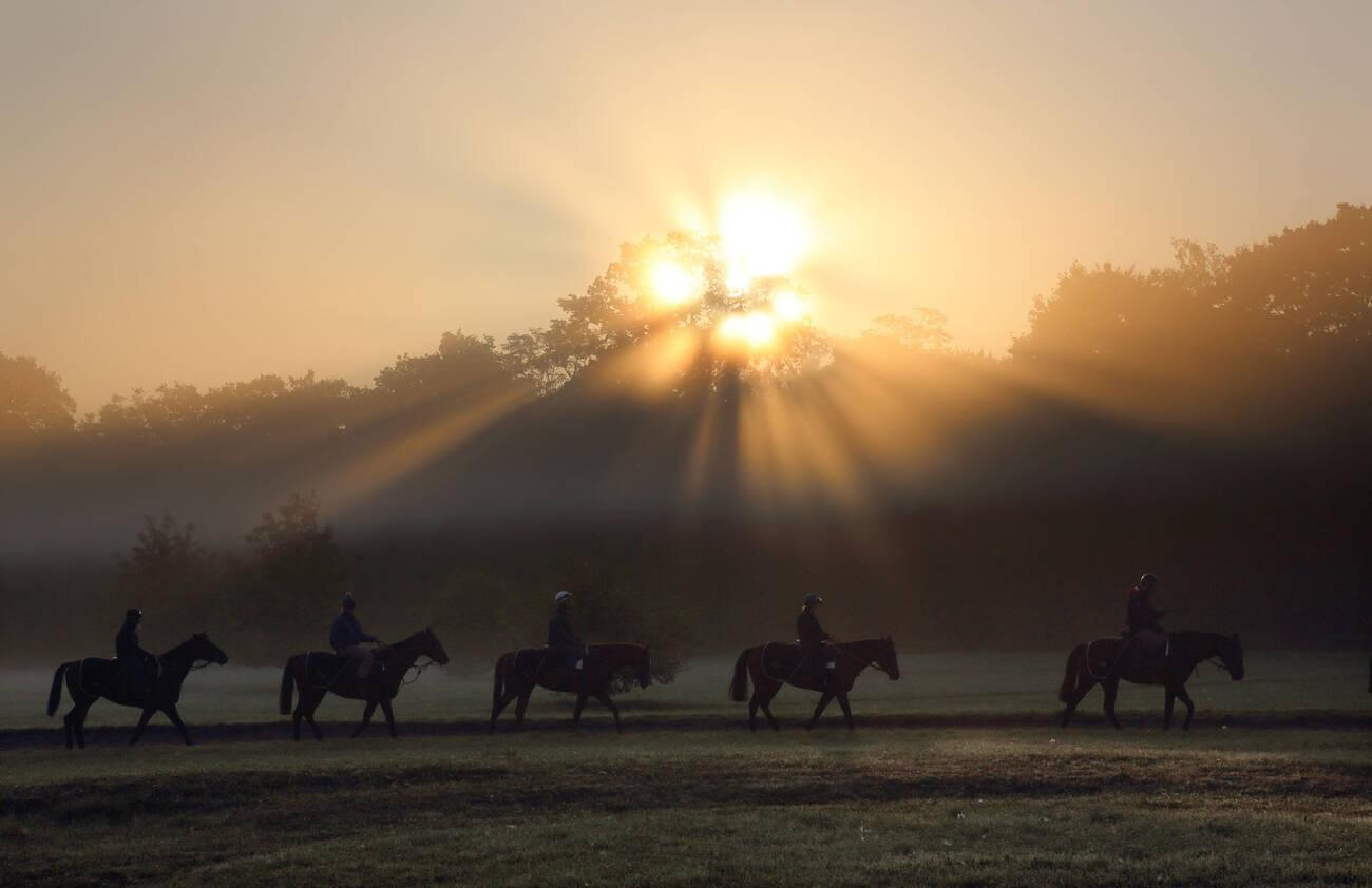 Chantilly