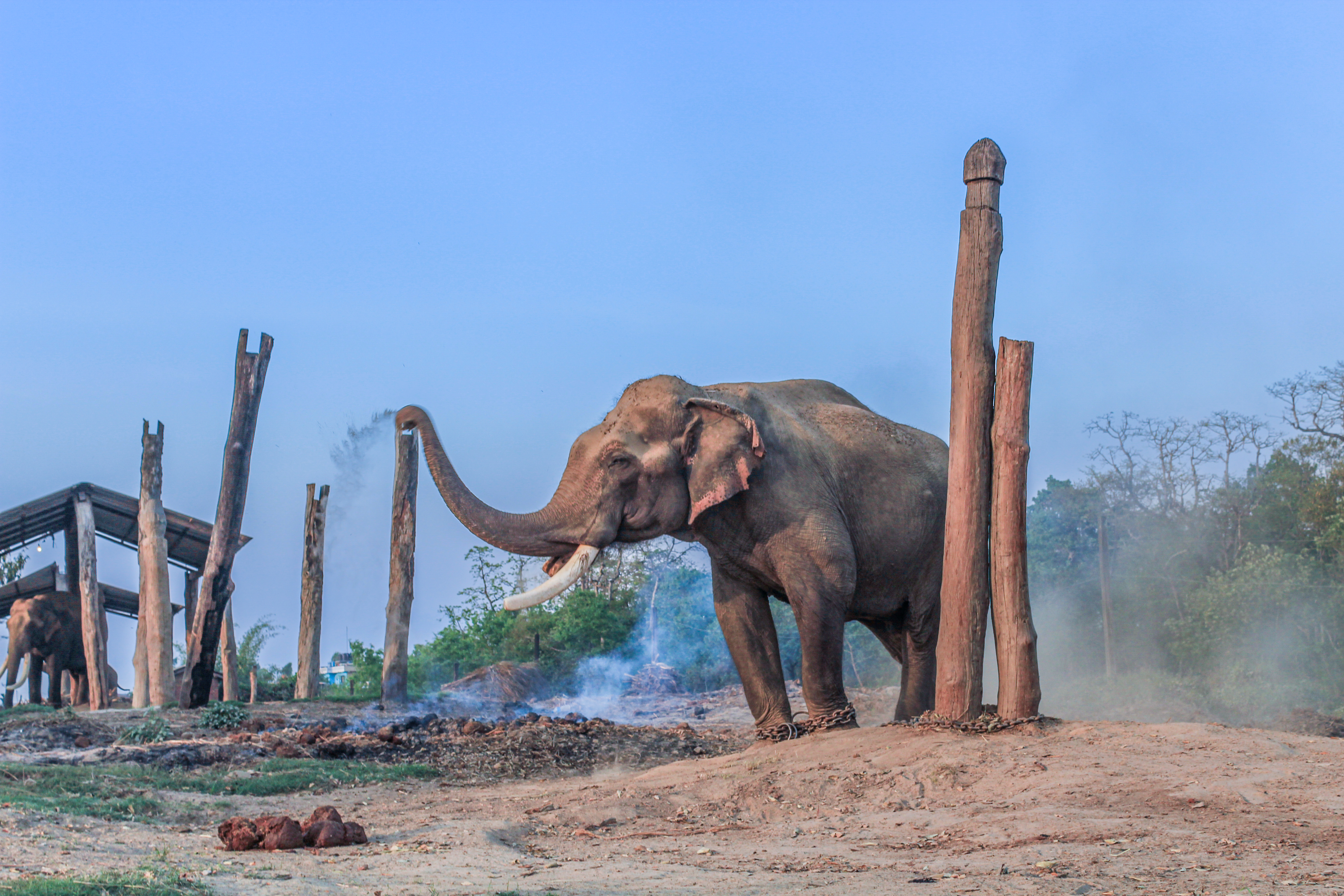 Chitwan National Park