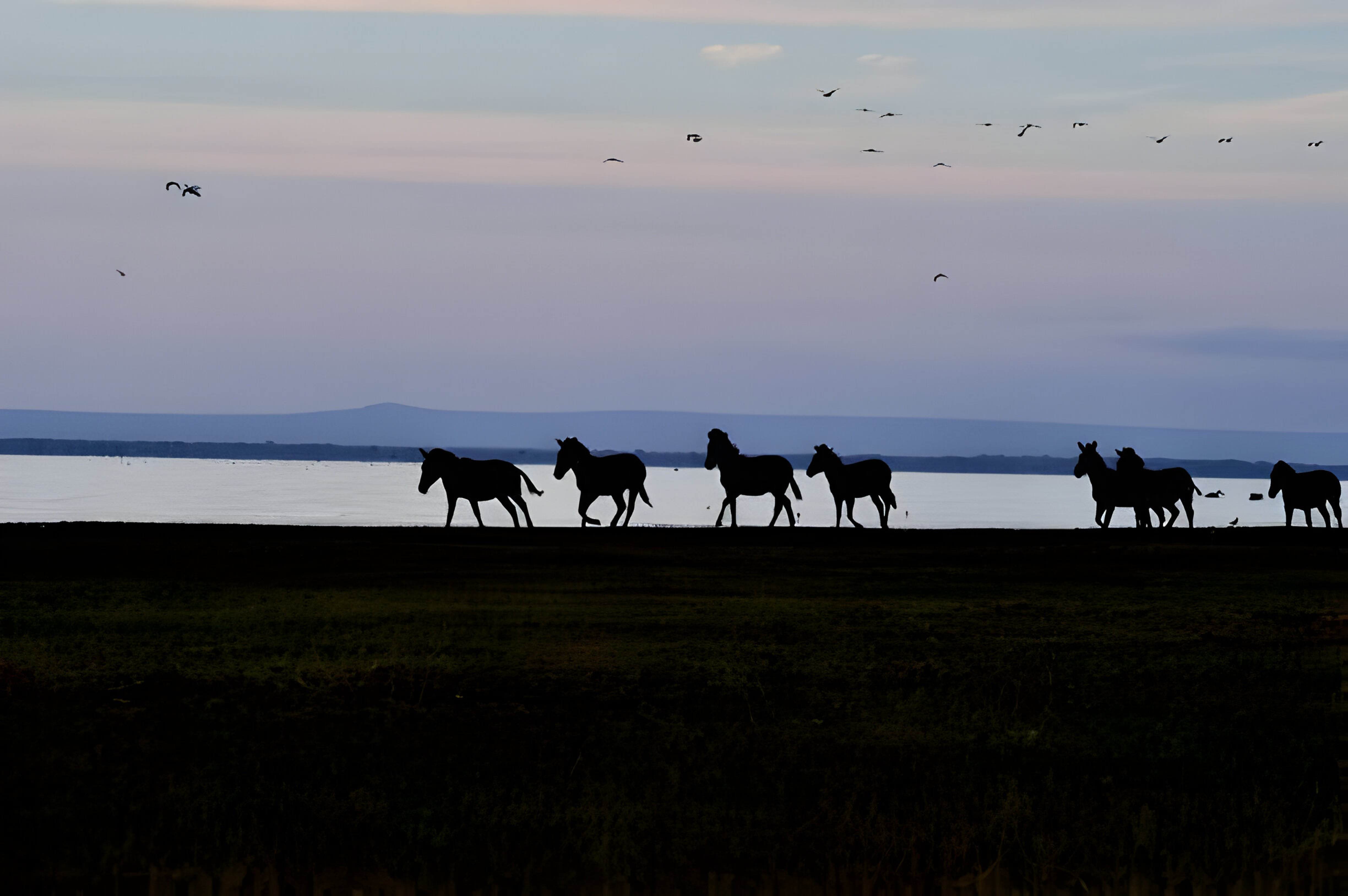Lake Manyara