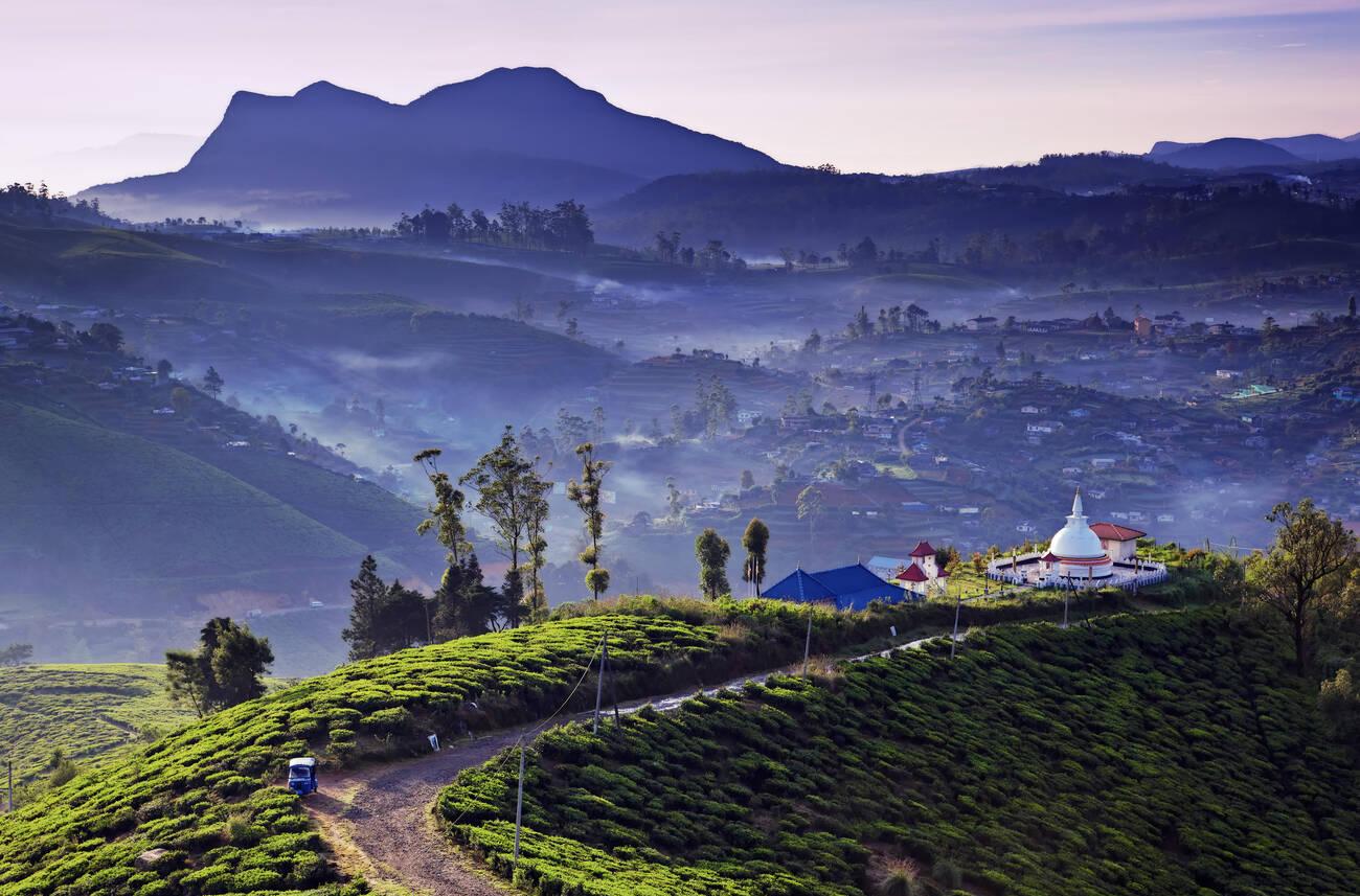 Nuwara Eliya