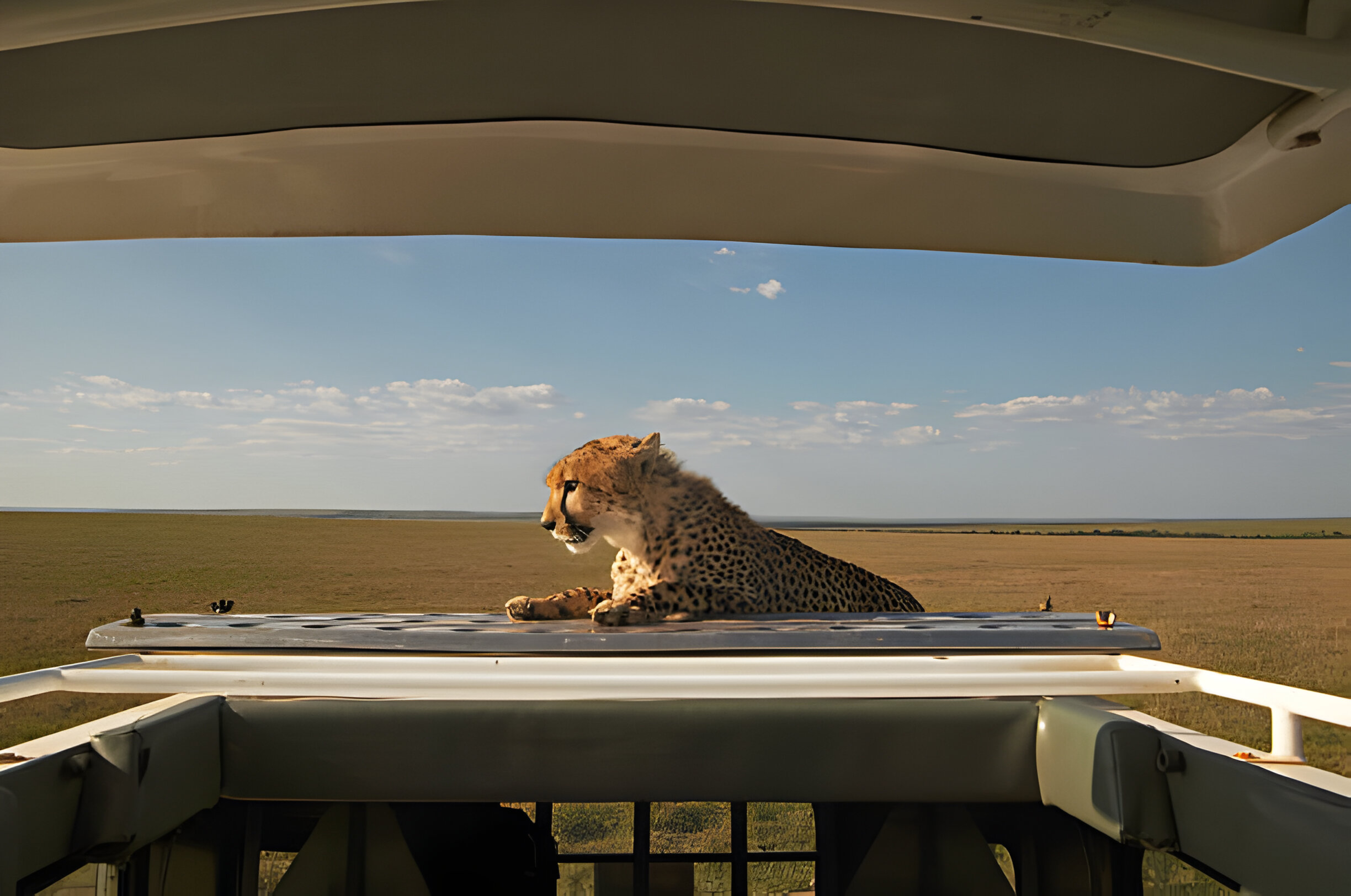 Ol Pejeta Conservancy