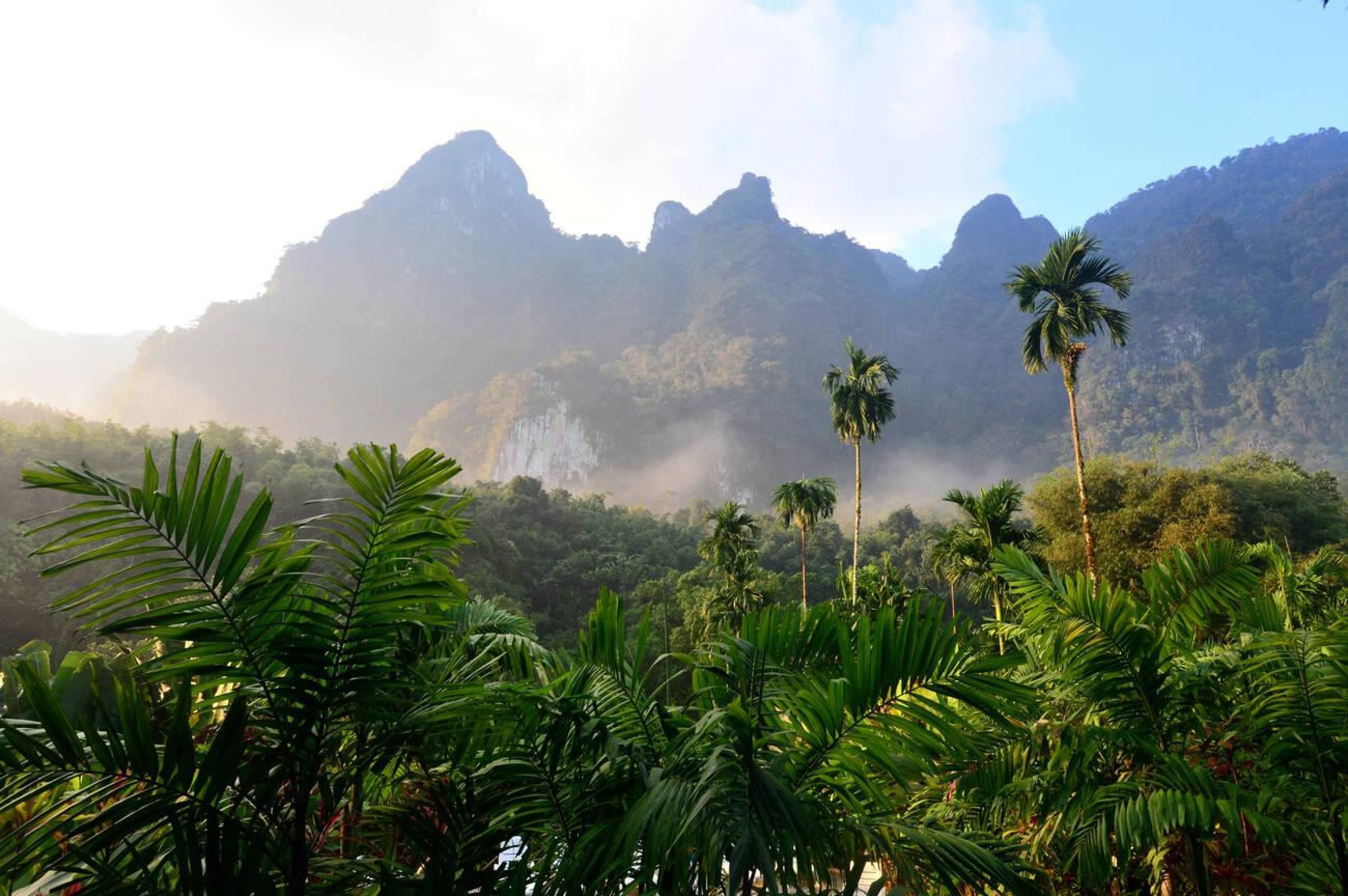 Surat Thani