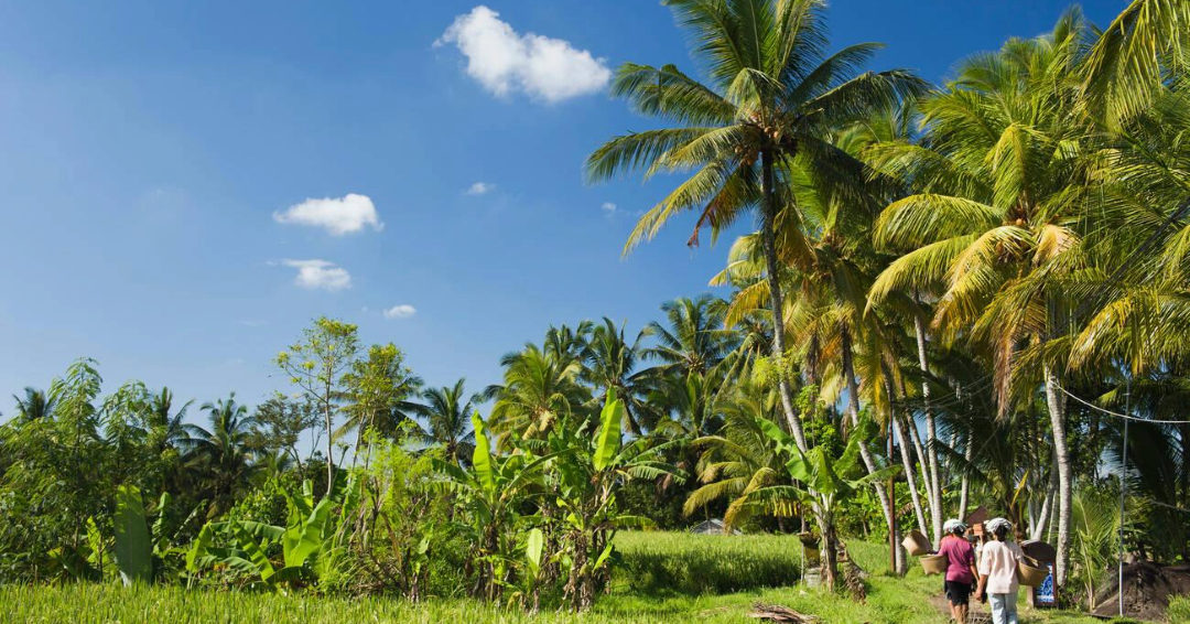 Ubud